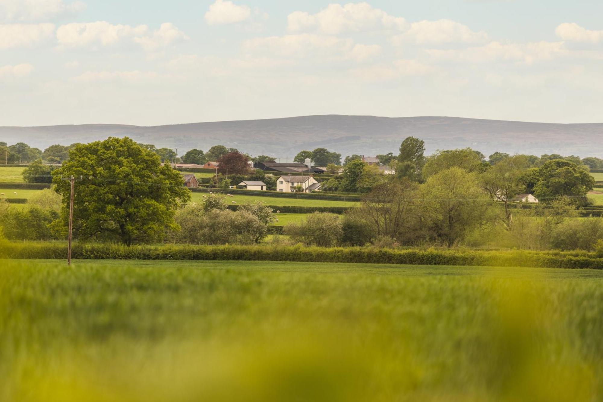 Mulsford Cottage Malpas  Номер фото